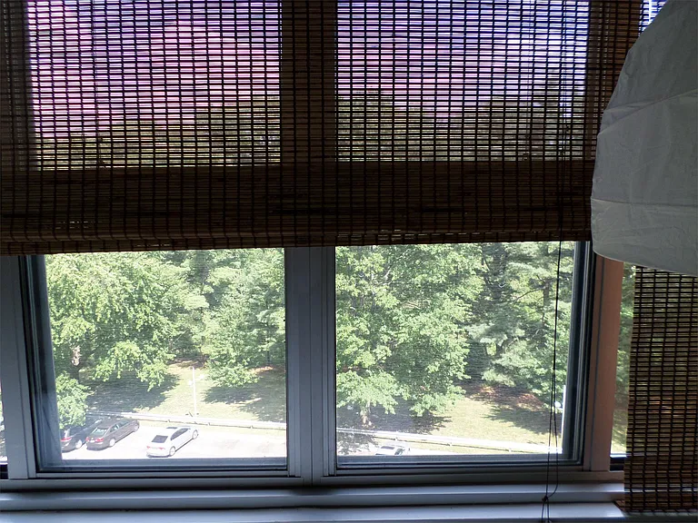 View of Rock Creek Park from this unit!