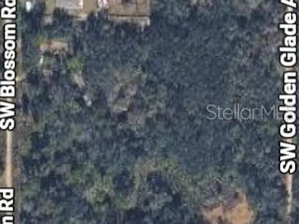 2206 SW BLOSSOM AVENUE LOT T, ARCADIA, FL 34266