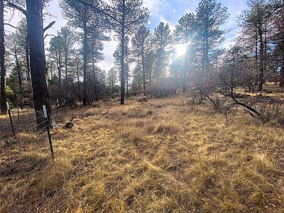 Wilson Ct, Timberon, NM, 88350