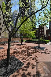 Rented by New York Residence