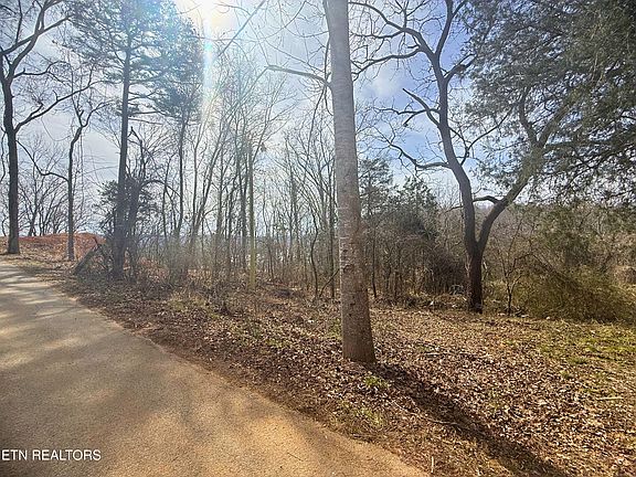 2nd image of Straight Branch Rd