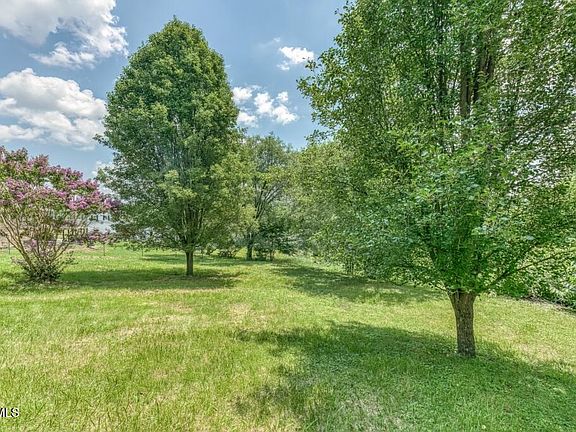 4th image of 1519 Bloomingdale Rd