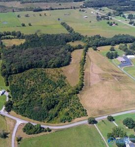 24 Roundtop Rd, Falkville, AL, 35622