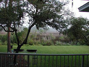 View from rear porch