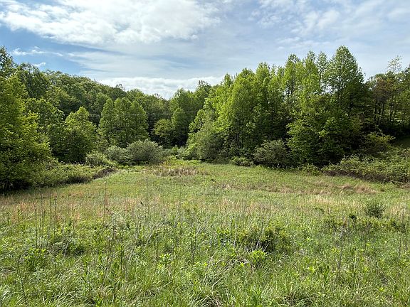 5th image of Tbd Wards Gap Rd