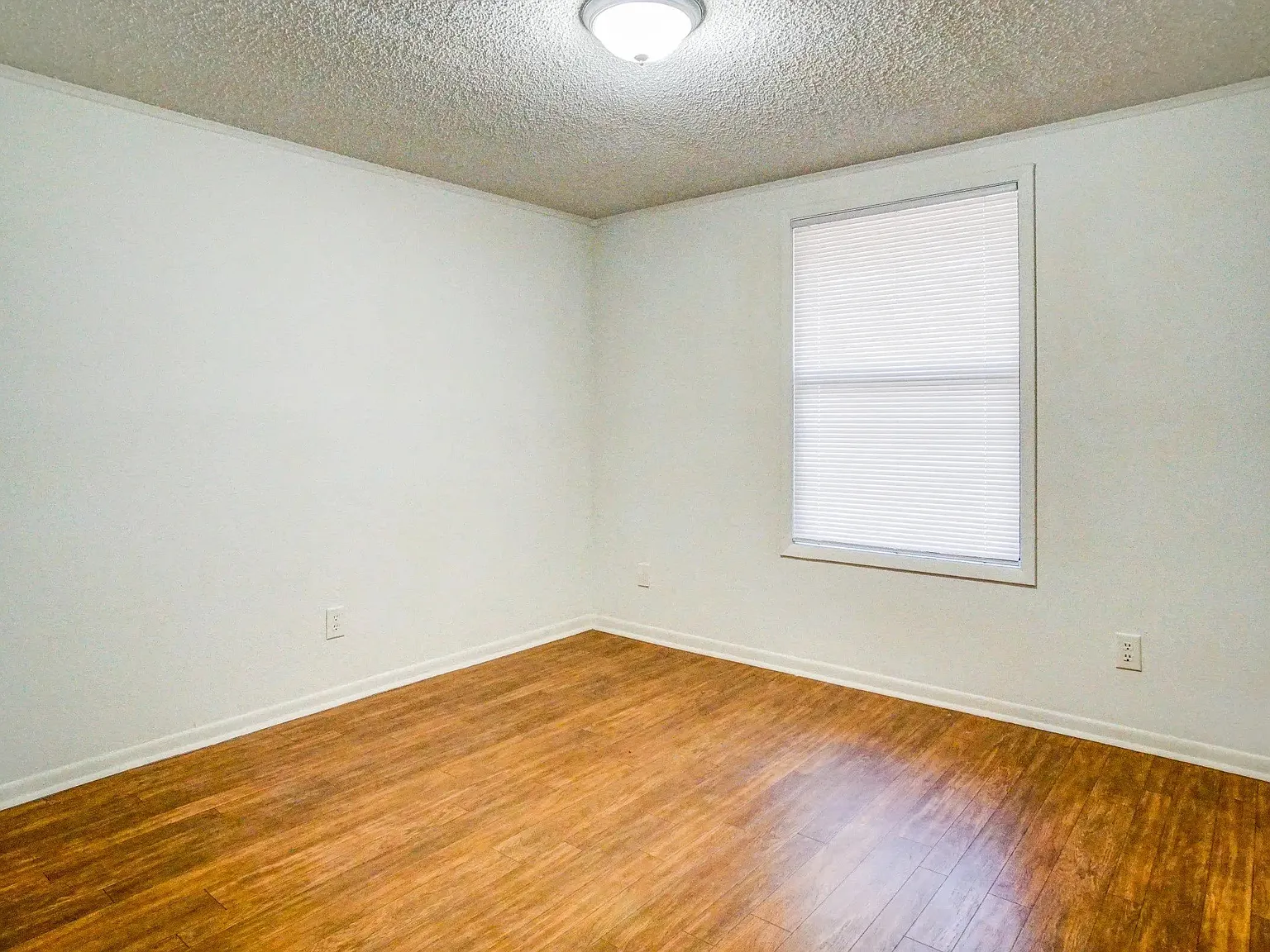 Curiosity Creek Apartments — Photo 4