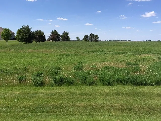 17402 Wildflower Cir photo 1