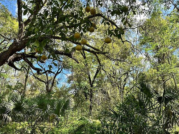 5th image of SW 5th Ln