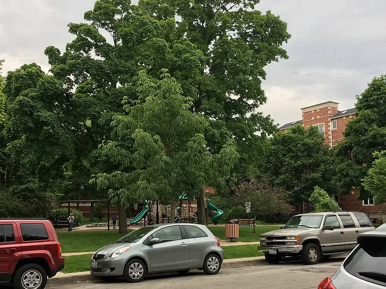 Park across the street