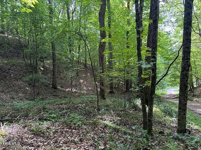 2nd image of 0 Cane Mountain Ln