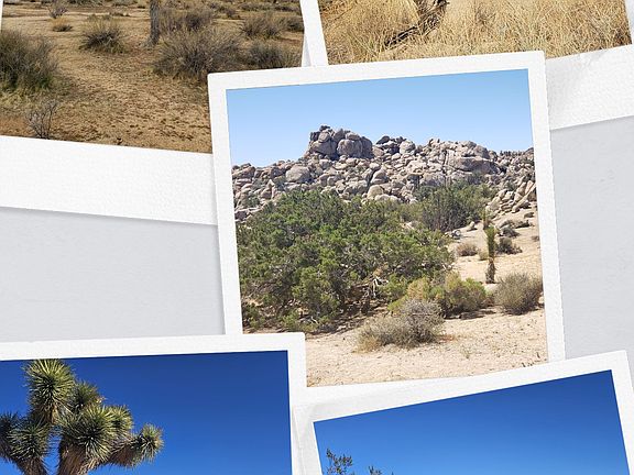 5th image of (Undisclosed Address)
