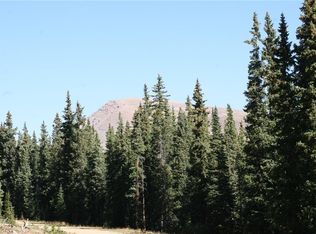 687 Prunes Pl, Fairplay, CO 80440