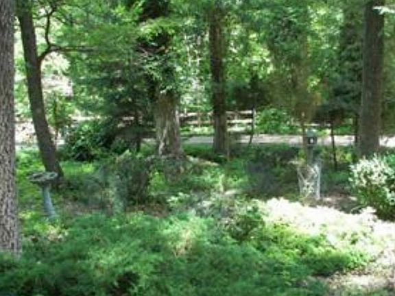 5th image of 1615 Canary Rd