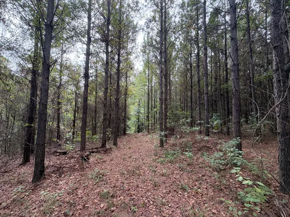 0 Highway 223, Banks, AL 36005
