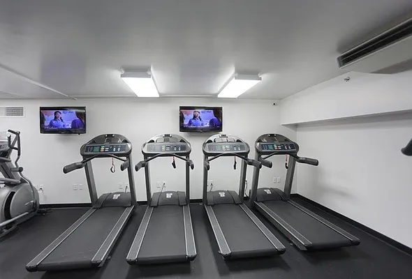 Rented by Manhattan Skyline | media 3