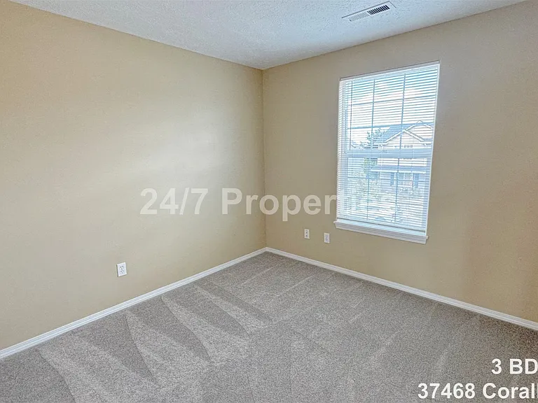 37468 Coralburst St — Photo 8