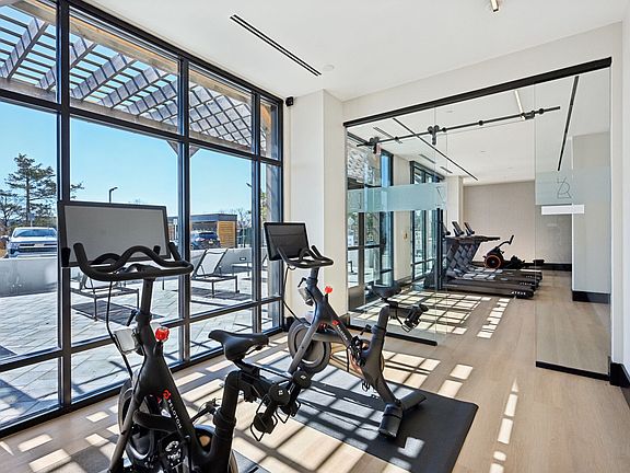 The Alice Spin Bikes