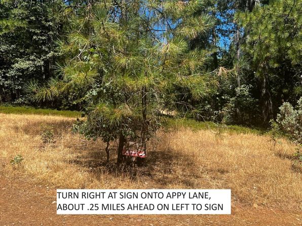 101 Appy Ln, Mountain Ranch, CA 95246