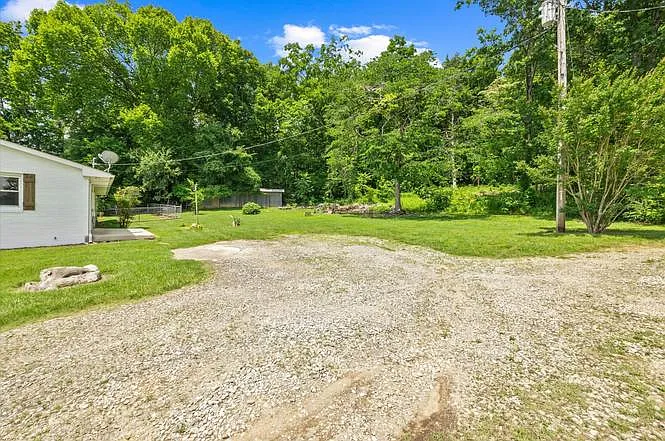 5536 Buck Mountain Rd — Photo 9