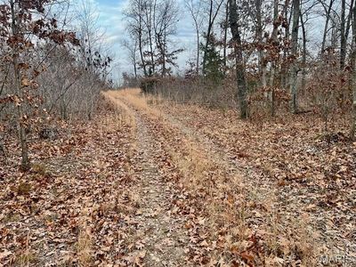 TRACT Clear Creek Rd #A, Richwoods, MO, 63071
