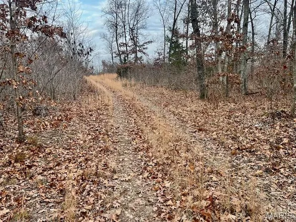 TRACT Clear Creek Rd #A, Richwoods, MO 63071