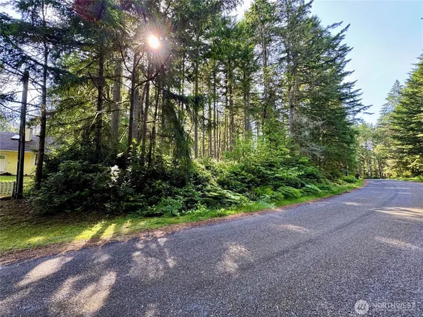 11011 & 11013 Cascade Place, Anderson Island, WA 98303