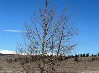 5 Coyotero Trl, Hartsel, CO 80449