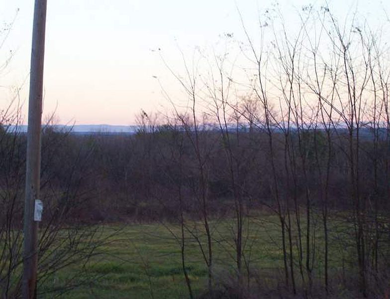 4th image of 369 MAPLE Avenue