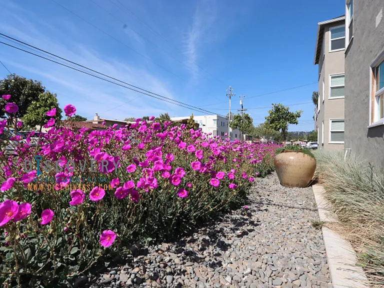 Belleview Dr. 185 — Photo 16