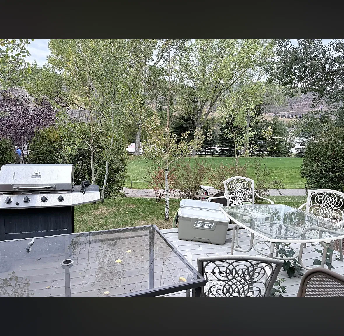 3 bed, 1393 sqft, $1,300 — Photo 4