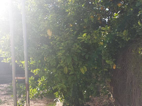 2nd image of 1706 S Almond
