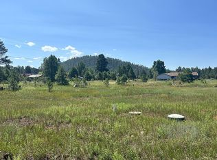 727 N Skylane Rd, Pinetop, AZ 85935