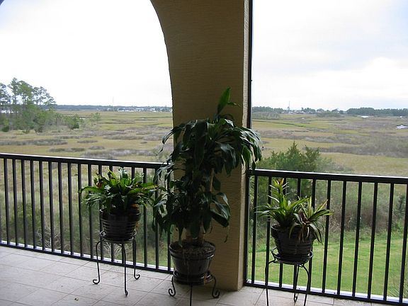 View from back
