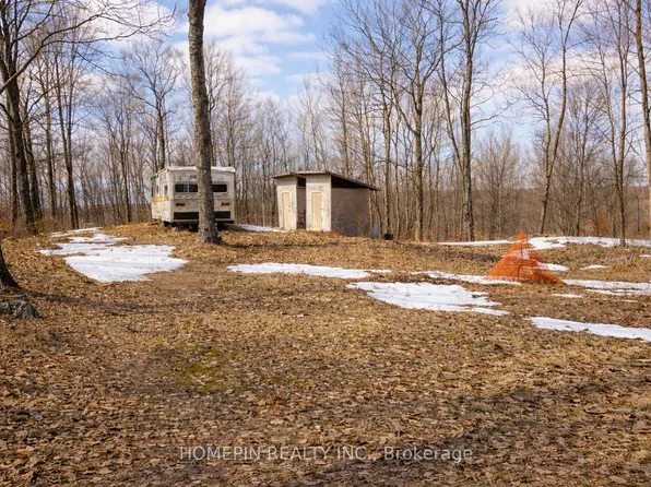 673 Buckshot Lake Rd, Addington Highlands, ON K0H 1K0