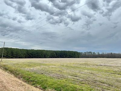 0 Gilmer Ricks Rd, Conway, NC, 27820
