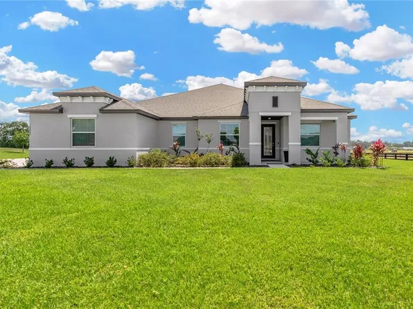 10022 Dolphin Gull Cir, Thonotosassa, FL 33592