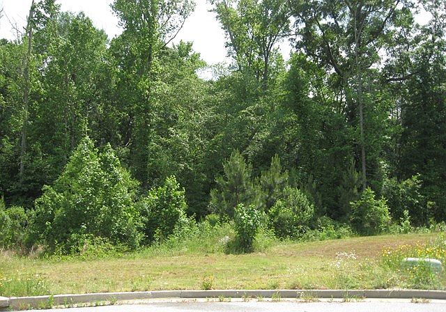 2nd image of 31 Rc Allen Dr