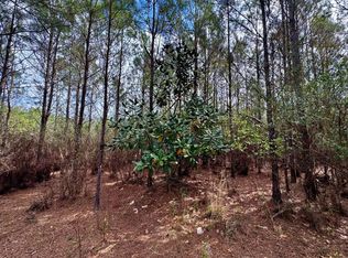 Vacant Sw Captain Brown Rd, Madison, FL 32340