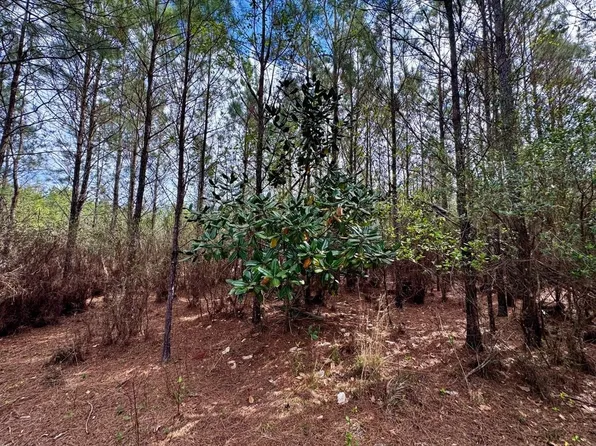 Vacant Sw Captain Brown Rd, Madison, FL 32340