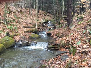 90 Reading Farms Rd, Reading, VT 05062