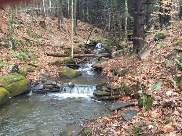 90 Reading Farms Road, Reading, VT 05062