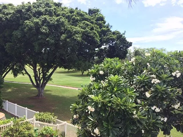 Aliinui Dr — Photo 39