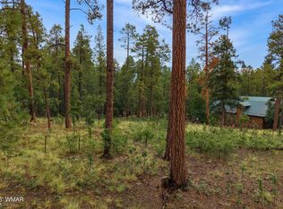 8 County Road 2070, Alpine, AZ 85920
