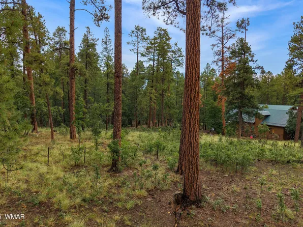 8 County Road 2070, Alpine, AZ 85920