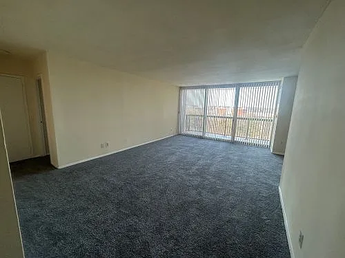 9727 Mount Pisgah Rd — Photo 132