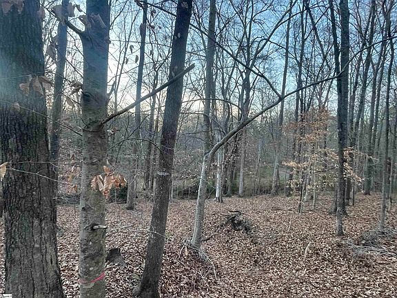 3rd image of Highway 221 N Greenwood Rd