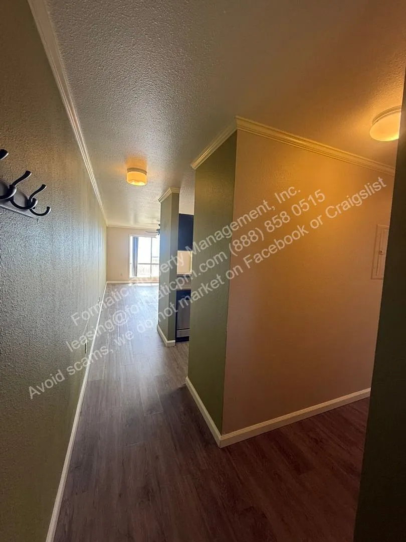 3 bed, 2.0 bath, 980 sqft, $3,595 — Photo 2
