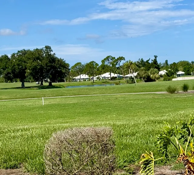 Plantation GCC views