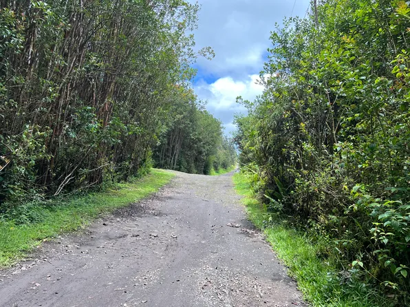 Road 4 Kea #Io, Kurtistown, HI 96760