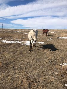 40725 Cold Iron Road, Ramah, CO, 80832
